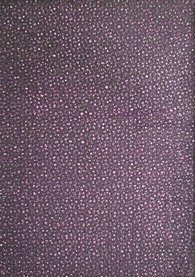 Décio Vieira Técnica Mista Caneta sobre cartão Caixa acrílica 55x37x5cm